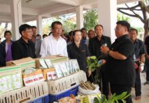 ร้อยเอ็ดทำเกษตรแผนใหม่ ลดรายจ่าย เพิ่มรายได้ ร้อยเอ็ดทำเกษตรแผนใหม่ ลดรายจ่าย เพิ่มรายได้