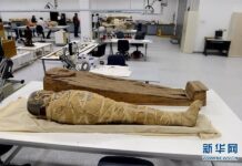 เผยโลกลี้ลับของอียิปต์ Grand Egyptian Museum เผยโลกลี้ลับของอียิปต์ Grand Egyptian Museum