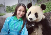 เมื่อแพนด้ายักษ์เซลฟี่กับสาวจีน… เมื่อแพนด้ายักษ์เซลฟี่กับสาวจีน...