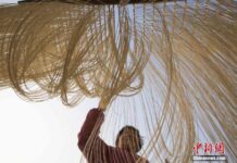 พลิ้วไหวในสายลม! ชาวจีนทำบะหมี่รับตรุษจีน พลิ้วไหวในสายลม!ชาวจีนทำบะหมี่รับตรุษจีน