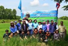 ตามรอยเท้าพ่อหลวง : ลุงเล็ก ต้นแบบเกษตรอินทรีย์ชาวปทุมธานี ตามรอยเท้าพ่อหลวง : ลุงเล็ก ต้นแบบเกษตรอินทรีย์ชาวปทุมธานี
