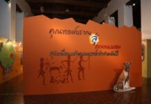 นิทรรศการพิเศษ “คุณทองโบราณ” สู่ “คุณทองแดง” สุนัข เพื่อนแท้ของมนุษย์กว่าสามพันปี