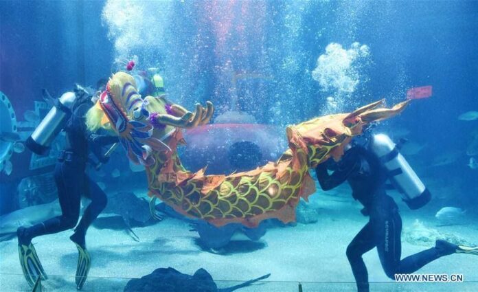 ราวกับมีชีวิต! มังกรใต้น้ำแห่งฮาร์บิน