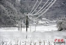 หูเป่ยหนาวจนสายไฟกลายเป็น “น้ำแข็ง” หูเป่ยหนาวจนสายไฟกลายเป็น “น้ำแข็ง”