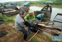 “ทะเลสาบโผหยาง” เตรียมห้ามจับสัตว์น้ำนาน 3 เดือน