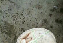 สุดสลด! จีนพบลักลอบตัวนิ่มที่ถูกลอกเปลือกและแช่เย็นอย่างโหดร้าย