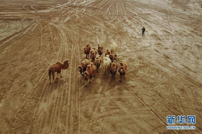 17884076_1902016670014346_7732495378241269270_n