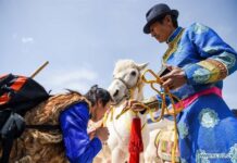 ชาวมองโกเลียในจัดพิธีรำลึกจักรพรรดิเจงกิสข่าน