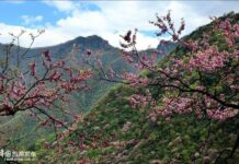 งามปานว่าอยู่ในเทพนิยาย…เขตอนุรักษ์ธรรมชาติถังเจียเหอ