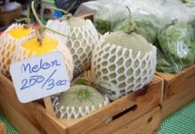 พาณิชย์ดันนักธุรกิจภาคเหนือ “โกอินเตอร์”