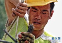 ร้อนมาก! ปักกิ่งอุณหภูมิพุ่งสูง 37 องศาเซลเซียส