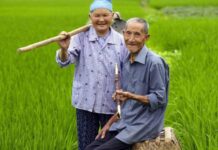 ผู้เชี่ยวชาญไทยชี้ไทยให้ความสนใจและเรียนรู้แนวทางแก้จนแบบตรงจุดของจีน