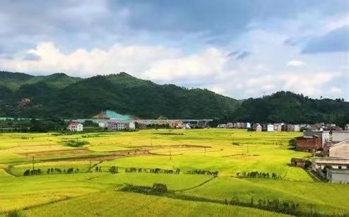 4F46FA35-C276-4746-80A5-374BD18FB263