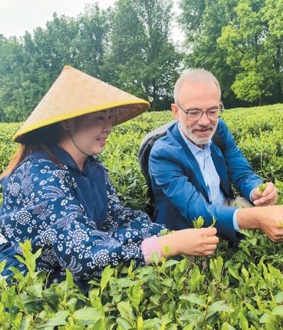 990aaa328714495188ad616dd33a5585