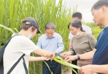 ห้องปฏิบัติการวิทยาศาสตร์“จวินเฉ่า”แห่งแรกของจีน– เส้นทางสี จิ้นผิง(44)