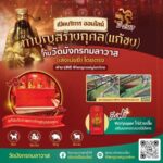 Copy of ประชาสัมพันธ์-แก้ชง เล่งเน่ยยี่ออนไลน์ (1)
