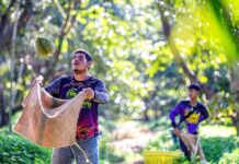 การเดินทางของ ‘ทุเรียนไทย’ สดใหม่จากสวนสู่ตลาดจีนในไม่กี่วัน