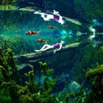 Krabi-Rut Canal (คลองหรูด) 219162PS_0 (1)_0