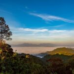 Phetchaburi-Kaeng Krachan National Park (อุทยานแห่งชาติแก่งกระจาน) 2178