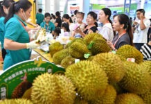 การค้า ‘จีน-อาเซียน’ โตต่อเนื่อง ร่วมมือ ‘เกษตร-การผลิต’ เพิ่มขึ้น