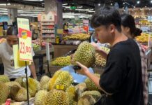 ตลาดบริโภค ‘ทุเรียน’ ในจีนโตต่อเนื่อง กระตุ้นแหล่งผลิตในอาเซียนปรับแผนแข่งขัน