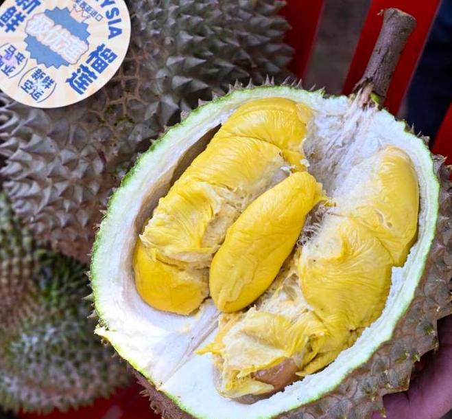 1702_13052026-China-Focus-Chinas-durian-appetite-cultivates-new-growth-for-Southeast-Asian-orchards 2
